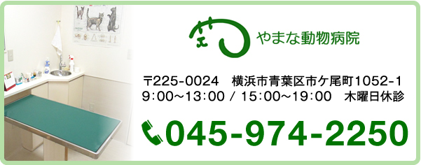 やまな動物病院 〒225-0024　横浜市青葉区市ケ尾町1052-1 診療時間9:00～13:00 / 15:00～19:00 木曜日休診 045-974-2250